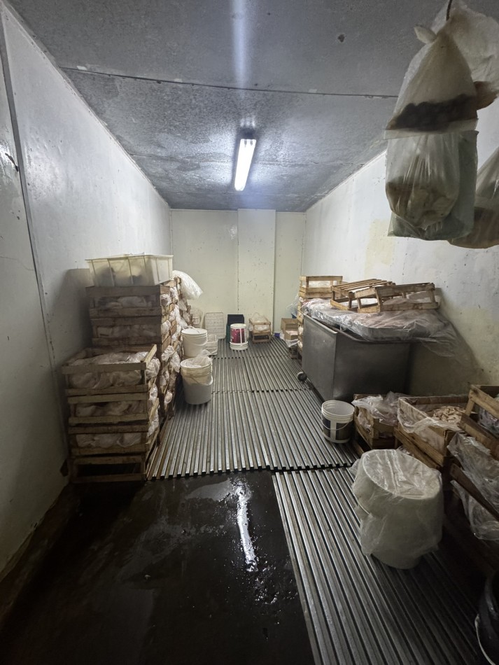 Alquiler Deposito Frigorifico con camaras 233 m2 ideal distribuidora - Tapiales