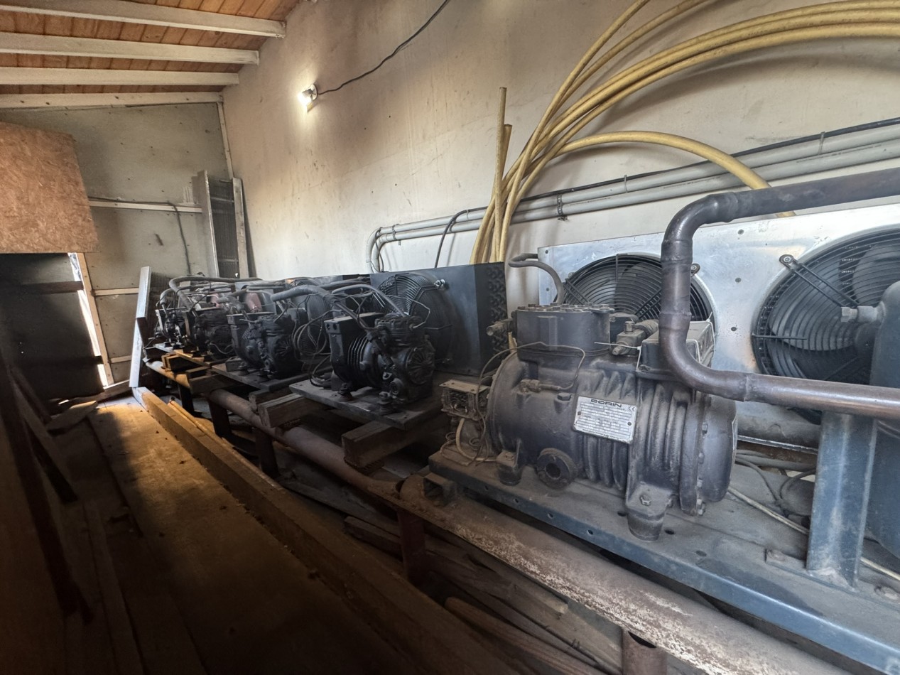 Alquiler Deposito Frigorifico con camaras 233 m2 ideal distribuidora - Tapiales